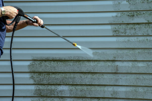 Best Patio and Deck Pressure Washing  in Ozona, TX